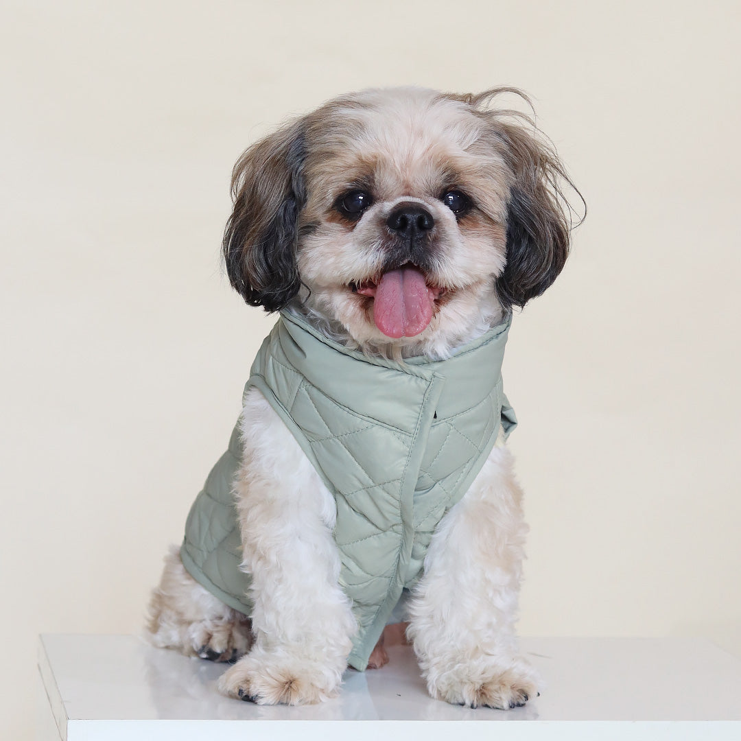 Quilted dog on sale coats for winter