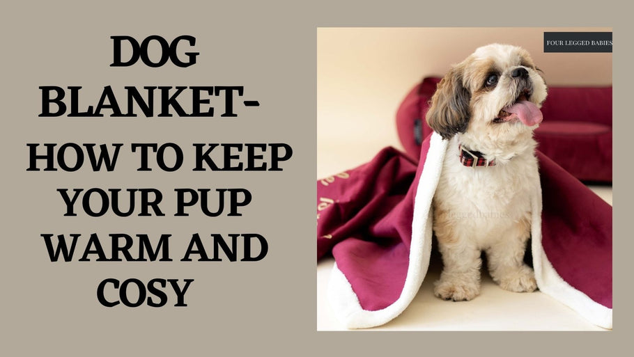 Dog Blanket- How To Keep Your Pup Warm And Cosy