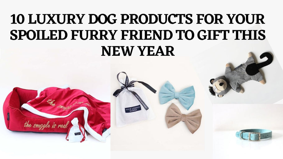 10 Luxury Dog Products For Your Spoiled Furry Friend To Gift This New Year