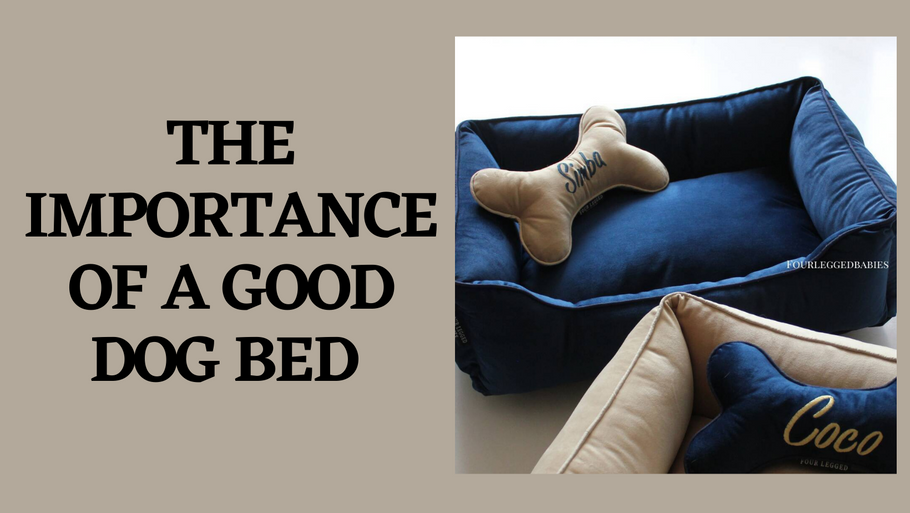 THE IMPORTANCE OF A GOOD DOG BED