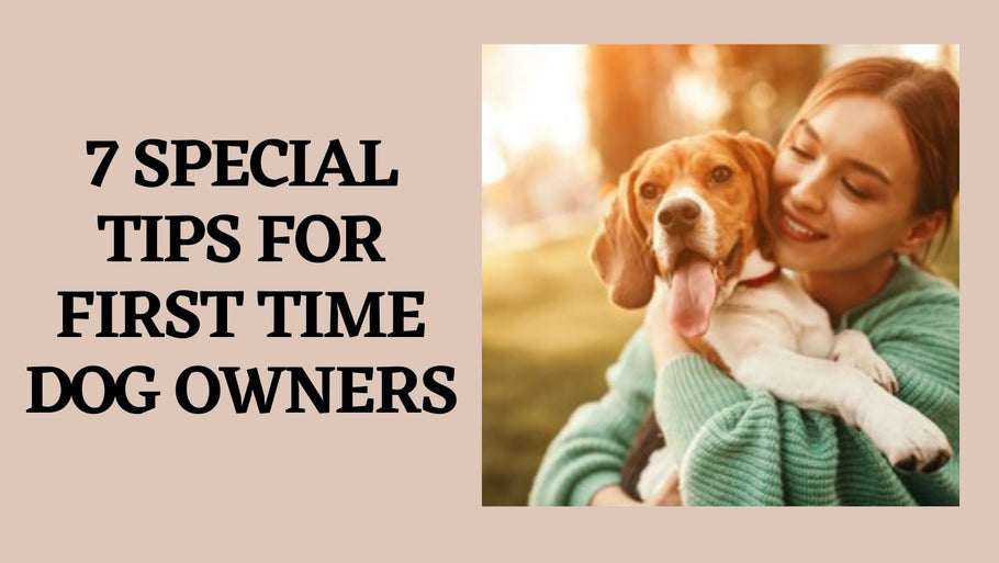 7 Special Tips for First Time Dog Owners