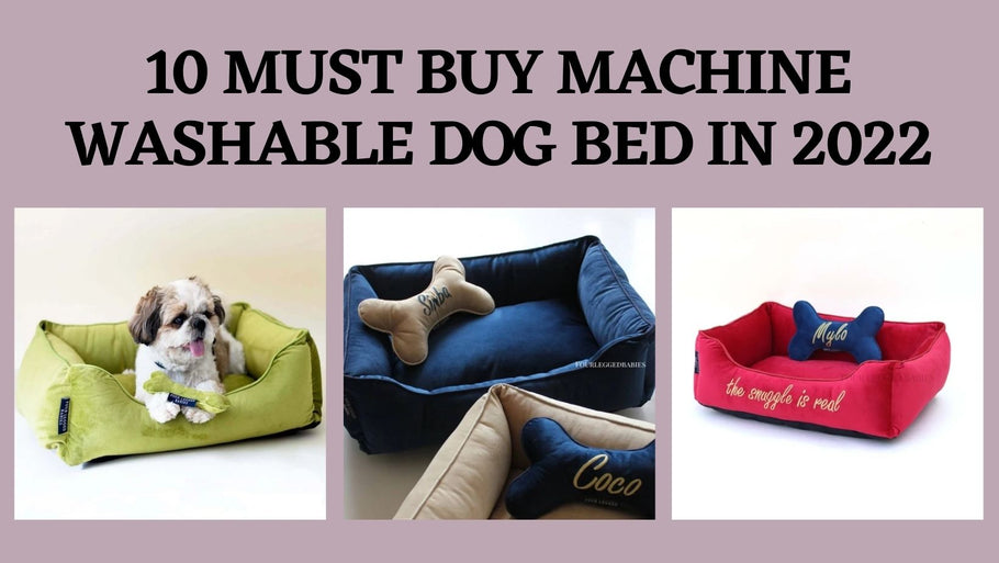 10 Must Buy Machine Washable Dog Bed in 2022