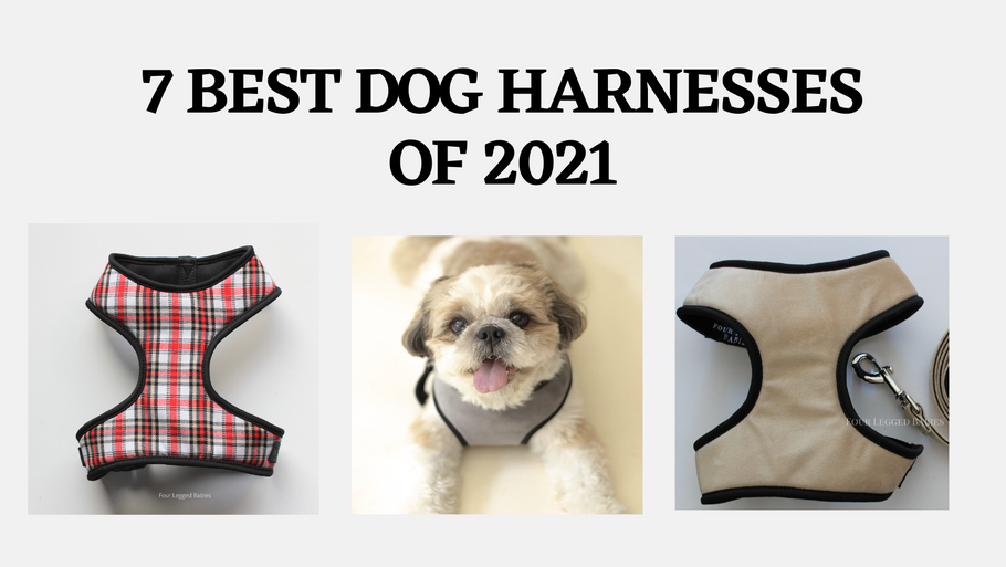 7 Best Dog Harnesses Of 2021