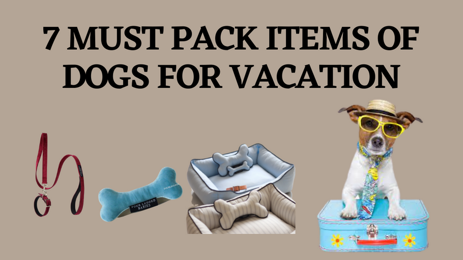 6 Must Pack Items Of Dogs For Vacation