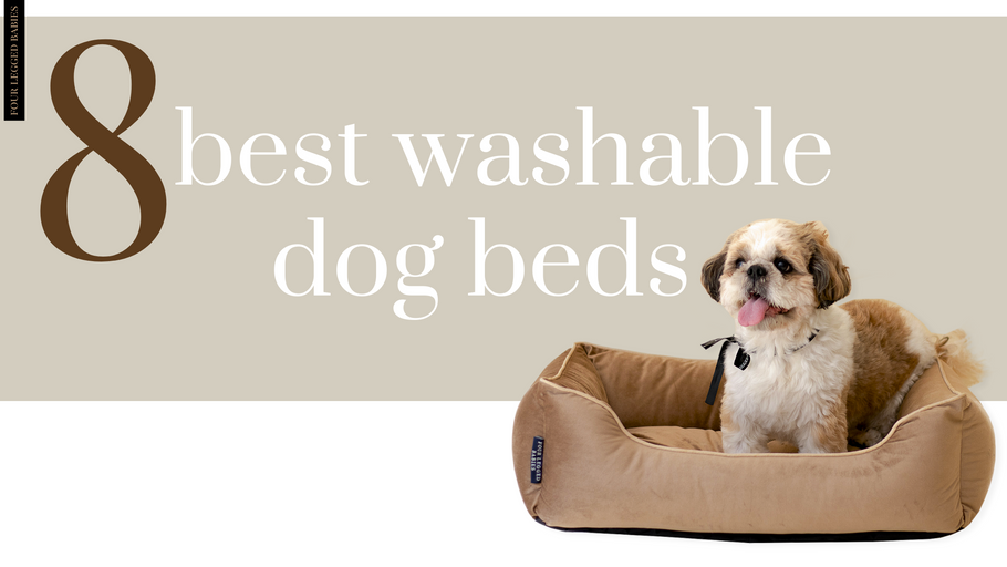 8 Best Washable Dog Beds