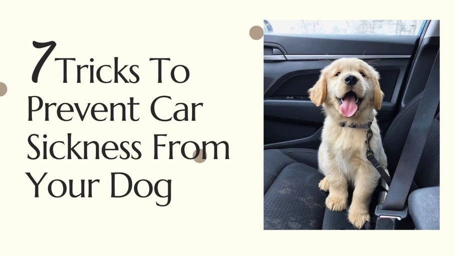 7 Tricks To Prevent Car Sickness