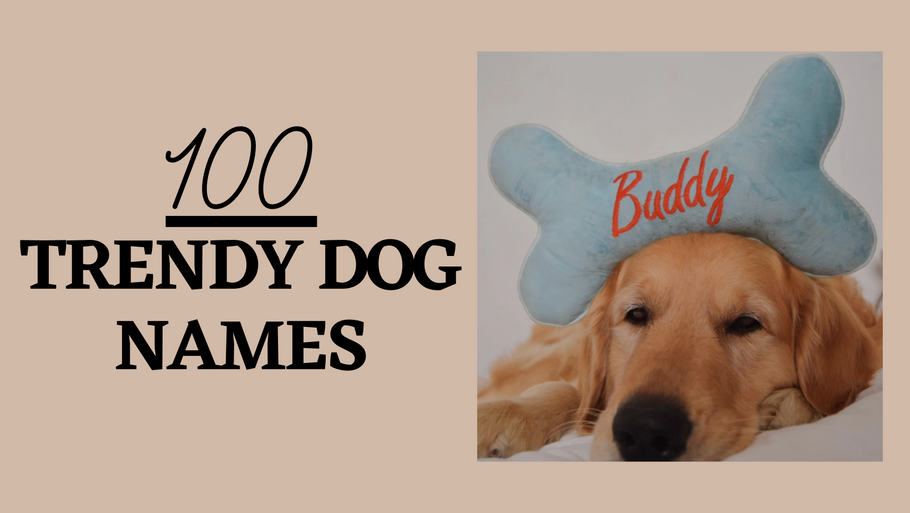 100 Trendy Dog Names