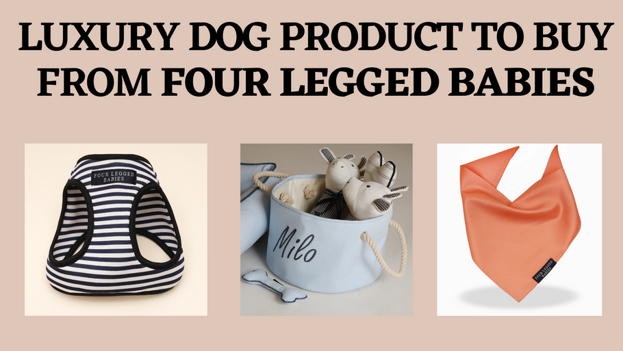 Luxury Dog Product To Buy From Four Legged Babies