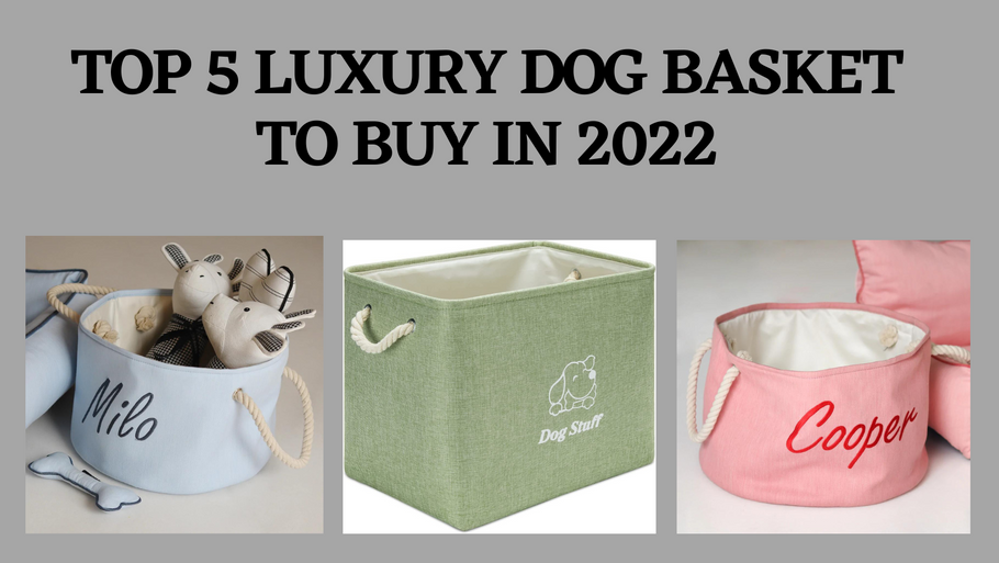 Top 5 Luxury Dog Basket To Buy In 2022
