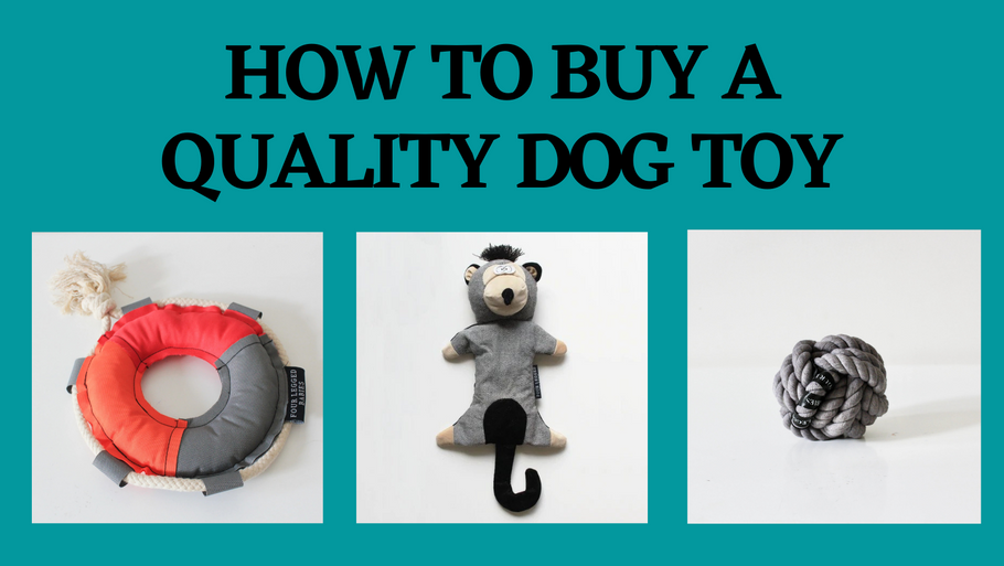 How To Buy A Quality Dog Toy