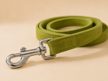 Load image into Gallery viewer, Emerald collar &amp; leash