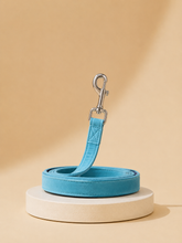 Load image into Gallery viewer, Soft sky Collar &amp; Leash set