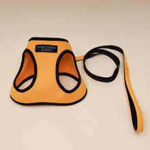 Load image into Gallery viewer, Musty Orange Air Harness set - Small dog