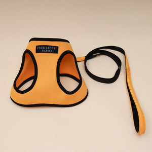 Musty Orange Air Harness set - Small dog