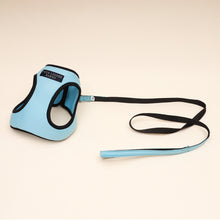 Load image into Gallery viewer, Soft blue Air Harness set - Small dog