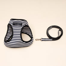 Load image into Gallery viewer, White and blue stripe Air Harness set - Small dog