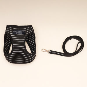 Black and white stripe Air Harness set - small dog