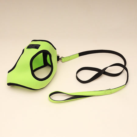 Neon green Air harness set - small dog