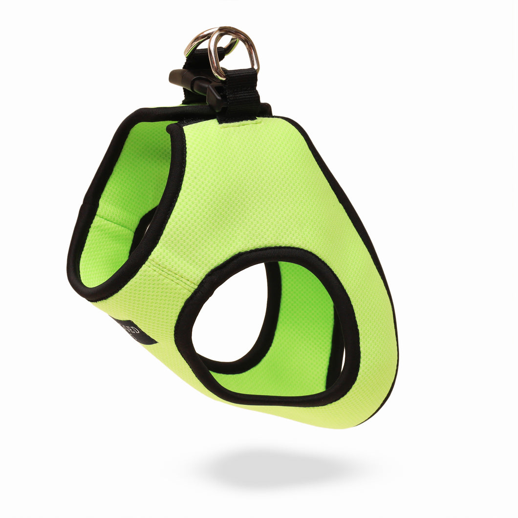 Neon green Air harness set - small dog