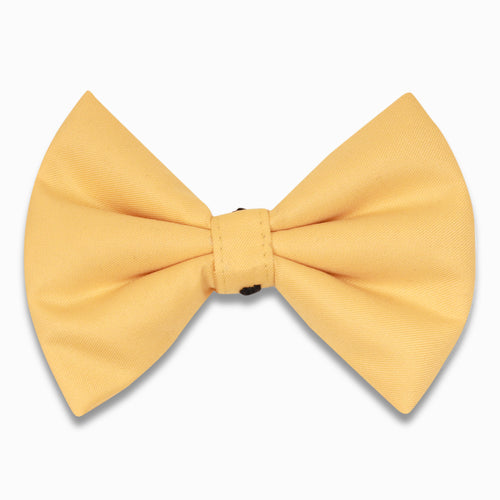 Powder yellow bow