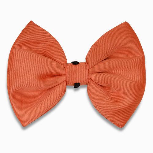 Good dog bow - Orange