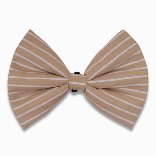 Copy of Copy of Good dog bow - Pinstripe Beige