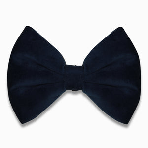 Good dog bow - Blue velvet
