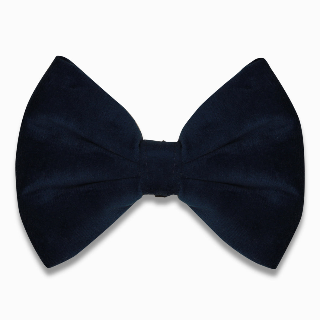 Good dog bow - Blue velvet