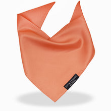 Load image into Gallery viewer, Luxury Orange bandana
