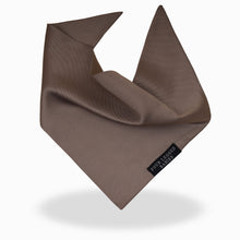 Load image into Gallery viewer, Luxury Mauve satin bandana