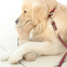 Load image into Gallery viewer, dog eating bone toy wearing black and red tartan collar and leash from four legged babies