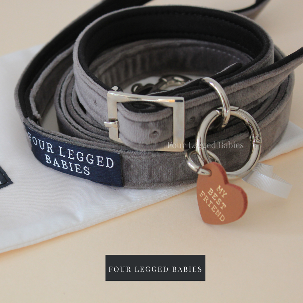 Chivalrous grey collar & leash set