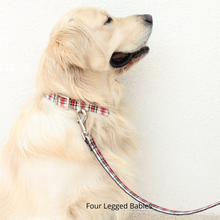 Load image into Gallery viewer, White &amp; Red Plaid Collar &amp; Leash set