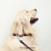 Load image into Gallery viewer, Tartan dog collar &amp; Leash Set