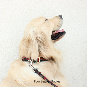 Tartan dog collar & Leash Set