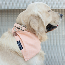 Load image into Gallery viewer, Dog wearing Peach Gingham Bandana