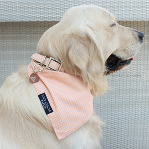 Dog wearing Peach Gingham Bandana