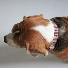 Load image into Gallery viewer, White &amp; Red Plaid Luxurious Collar