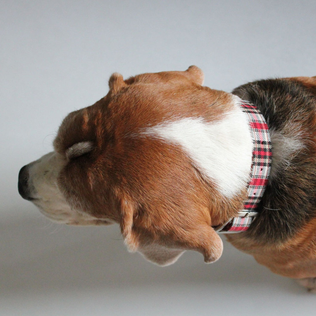 White & Red Plaid Luxurious Collar