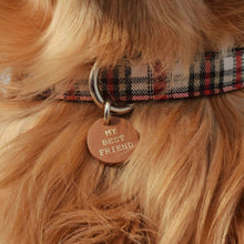 Load image into Gallery viewer, White &amp; Red Plaid Luxurious Collar