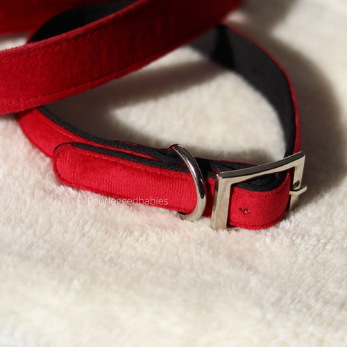 Merry Red Collar and leash