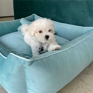 Soft Sky Luxurious Dog Bed Removable Italian Velvet Cover & Machine Washable Bed For Daily Use