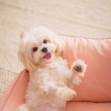 Load image into Gallery viewer, NEW - DOGGO COUCH Powder pink