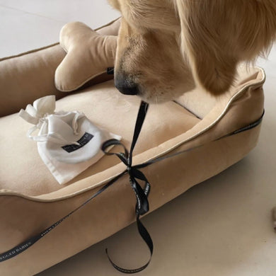 Dog Gift Set - Dream Cream Luxurious Dog Bed, Collar,Bone Pillow and Bone Toy Set