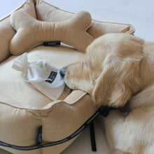 Load image into Gallery viewer, Dog Gift Set - Dream Cream Luxurious Dog Bed, Collar,Bone Pillow and Bone Toy Set