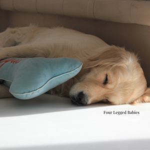 slepping dog with customized fourlegged babies bone