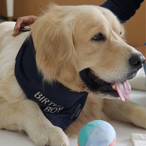 Luxury Birthday Boy/Girl Bandana