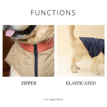 Load image into Gallery viewer, Quilted Dog jacket Royal blue