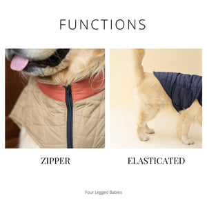 Quilted Dog jacket Royal blue