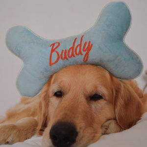 Buddy Dog Bone